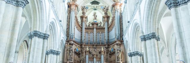 Notre-Dame Des Miracles Cathedral - Interior - Saint-Omer