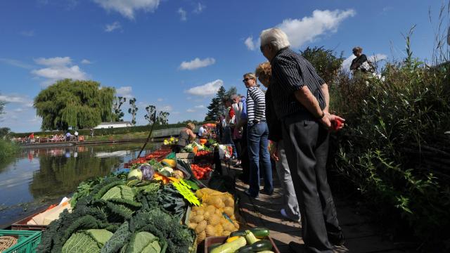 Market on water Audomarois marshes Isnor 2011 Clairmarais (2)