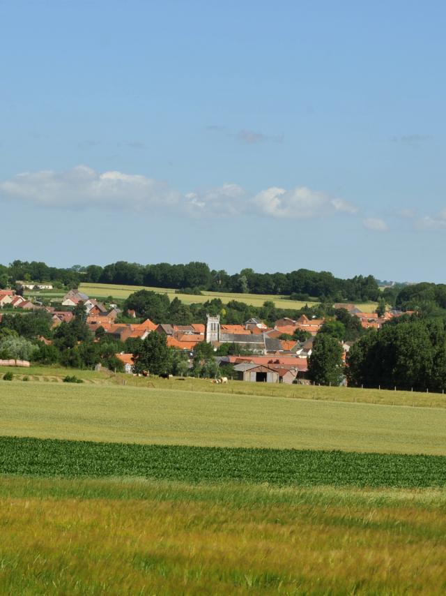 Dorpsgezicht 2010 Thérouanne (1)
