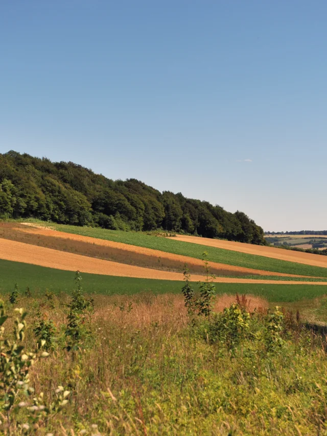 Côteaux de Bléquin Mountainbike-Pfad