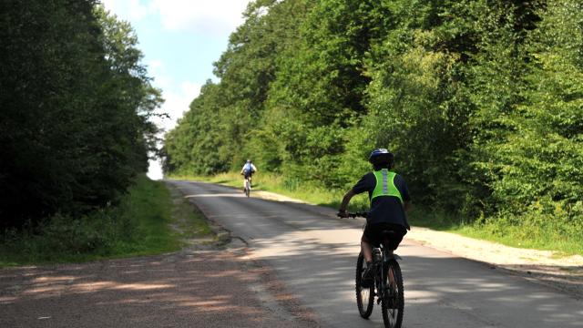 Forêt de Rihoult Clairmarais Vélo VTT