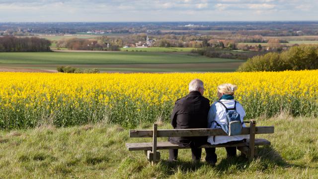Tournehem-sur-la-Hem. Landschaften mit Rapsfeld.