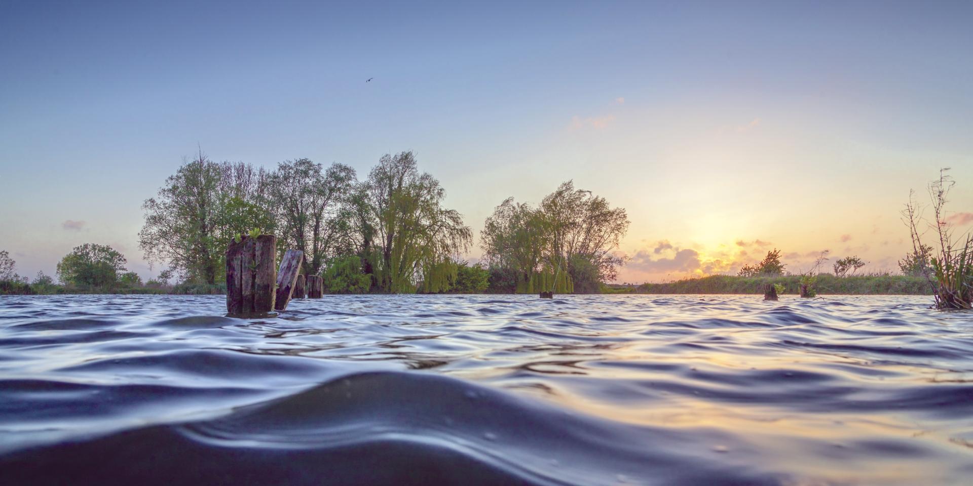 Romelaëre Ponds Reserve Clairmarais (9)