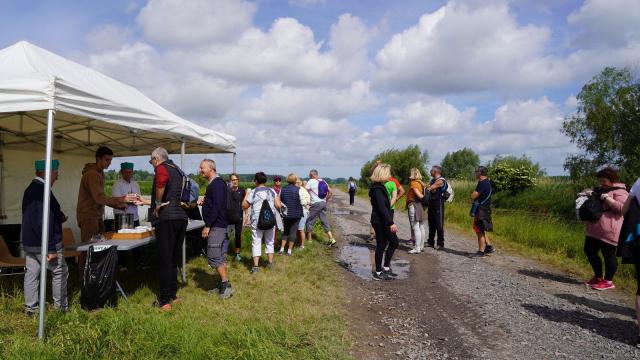 Saint-Omer cauliflower walk