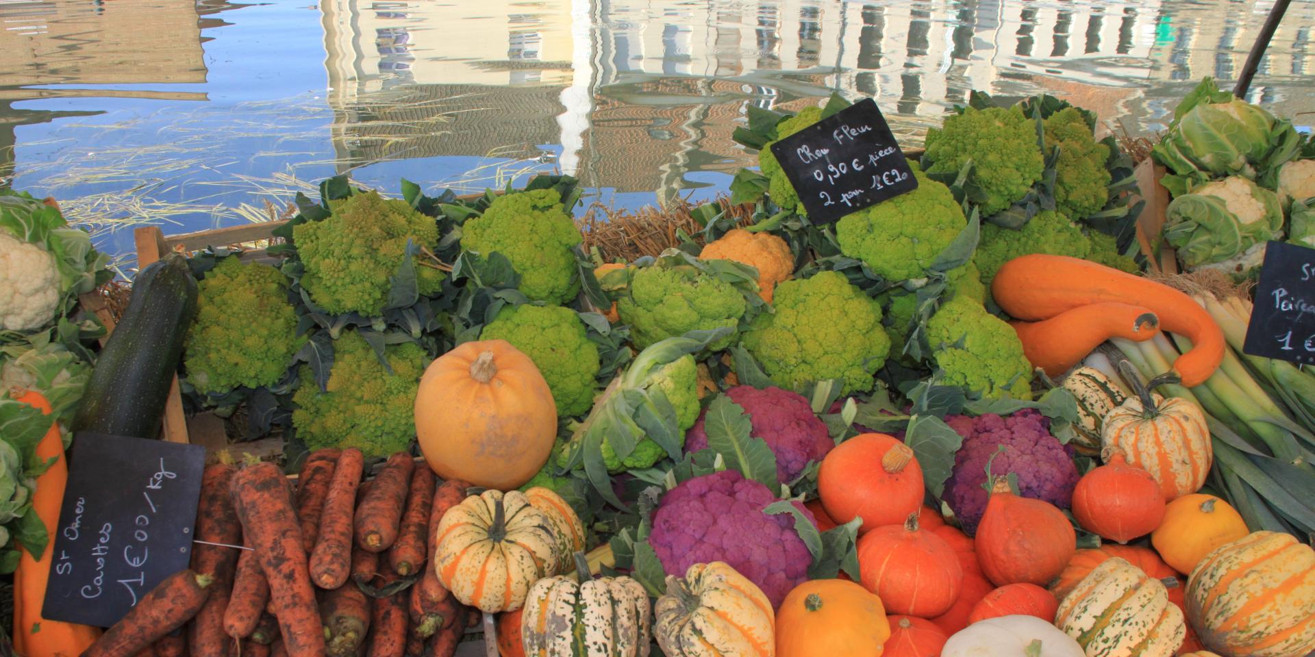 Confrérie Du Chou Fleur 2011 Saint Omer (6)