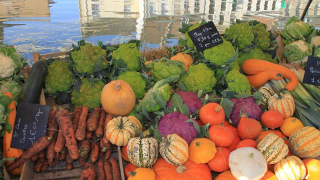 Confrérie Du Chou Fleur 2011 Saint Omer (6)