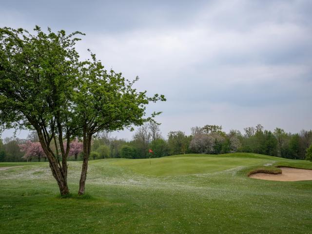 Green of the Golf de l'Aa in Lumbres