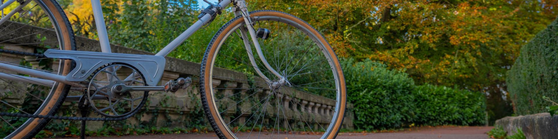 Bicycle in the public garden of Saint-Omer