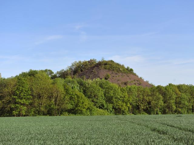 Mine 2010 Enquin Lez Guinegatte (3)