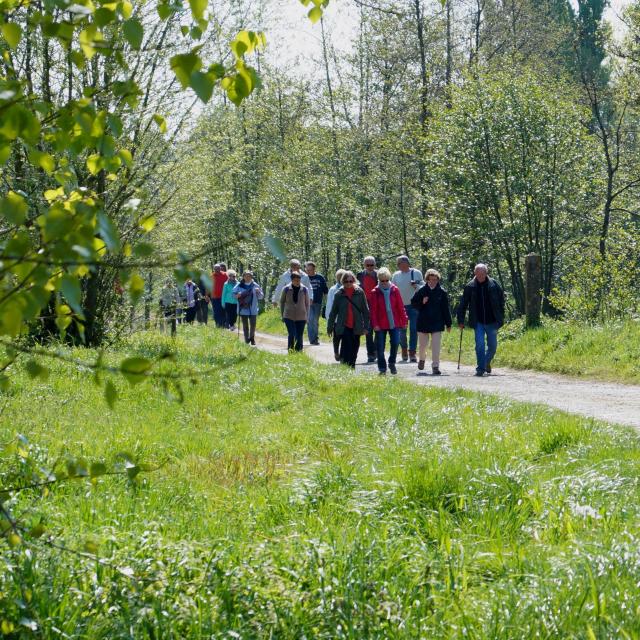 Hikers Aire Sur La Lys