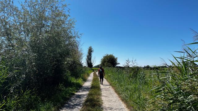 Wanderweg Du Lansbergue Marais Randonnée