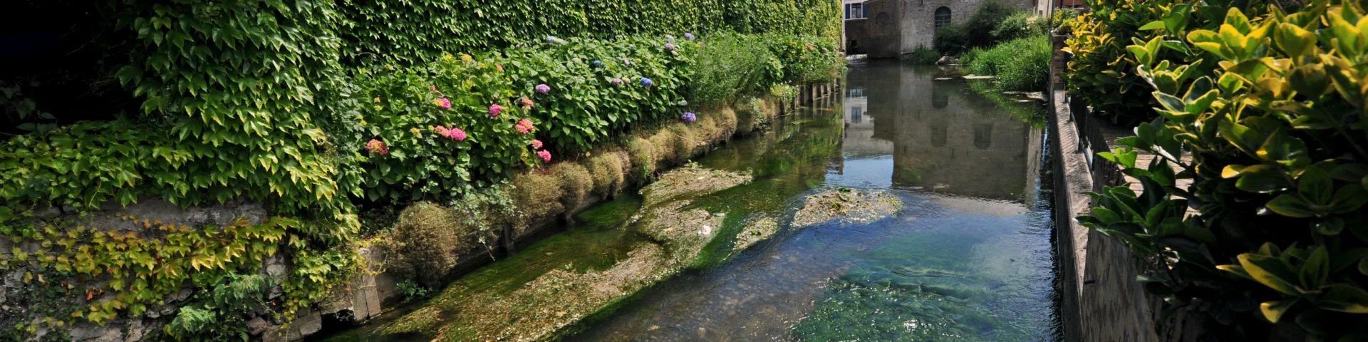 fauquembergues moulin manessier1 © 2010-Foto Carl-Office de Tourisme de la Région de Saint-Omer