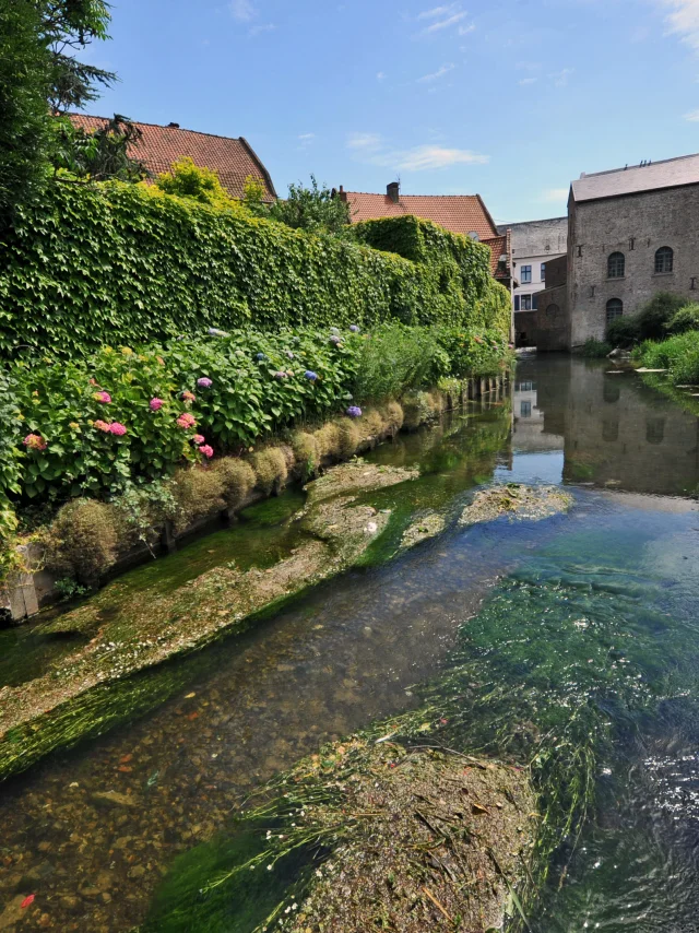 fauquembergues moulin manessier1 © 2010-Foto Carl-Office de Tourisme de la Région de Saint-Omer