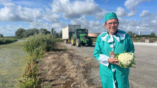 Bruderschaft des Blumenkohls