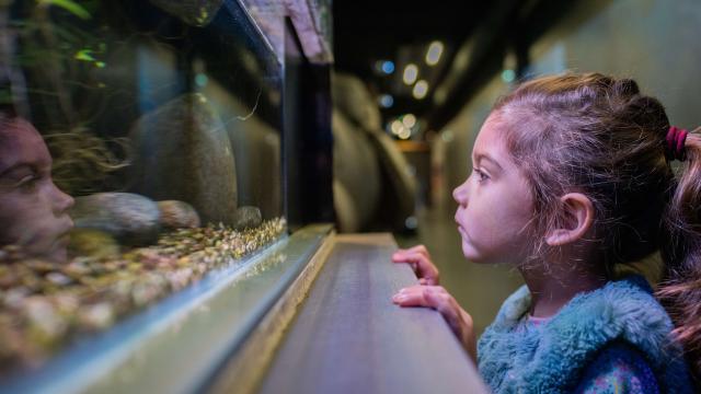 Sou Marais exhibition