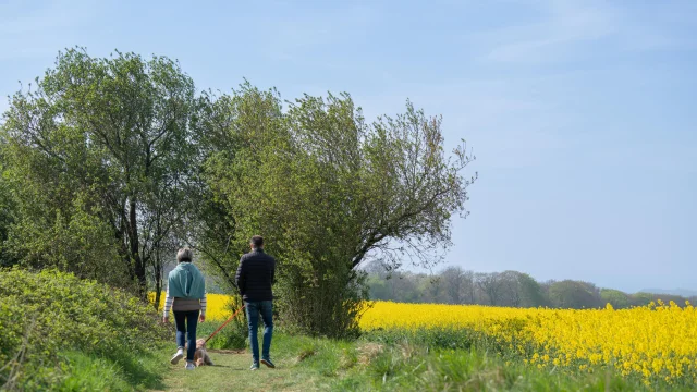 Sentier De Randonnée